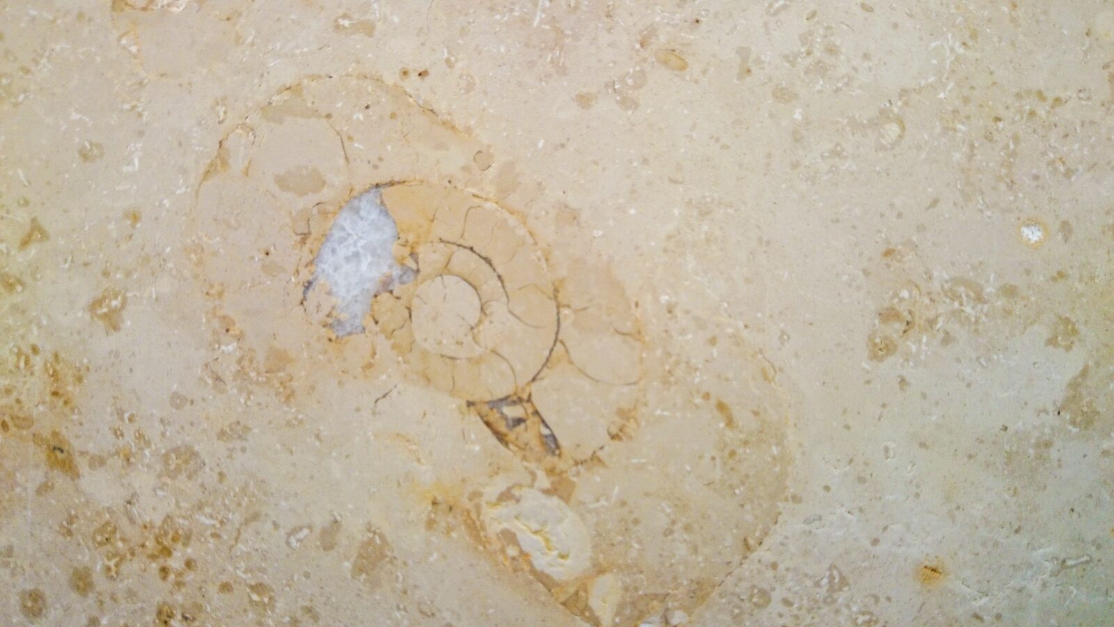 Fossil cluster